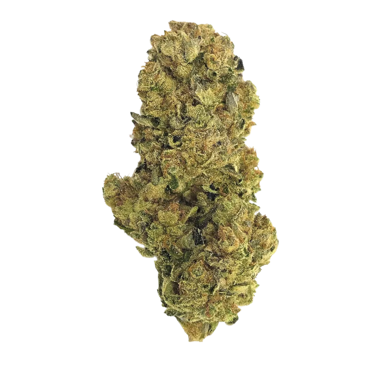 Gsc X Tangie