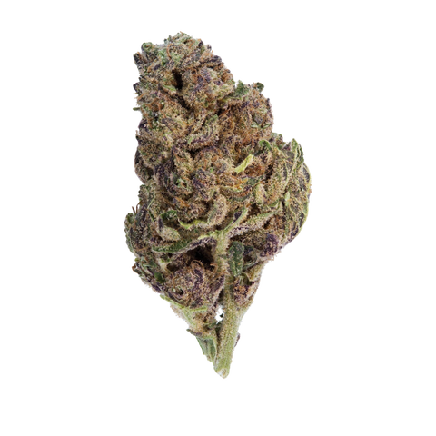 Mac DP Strain