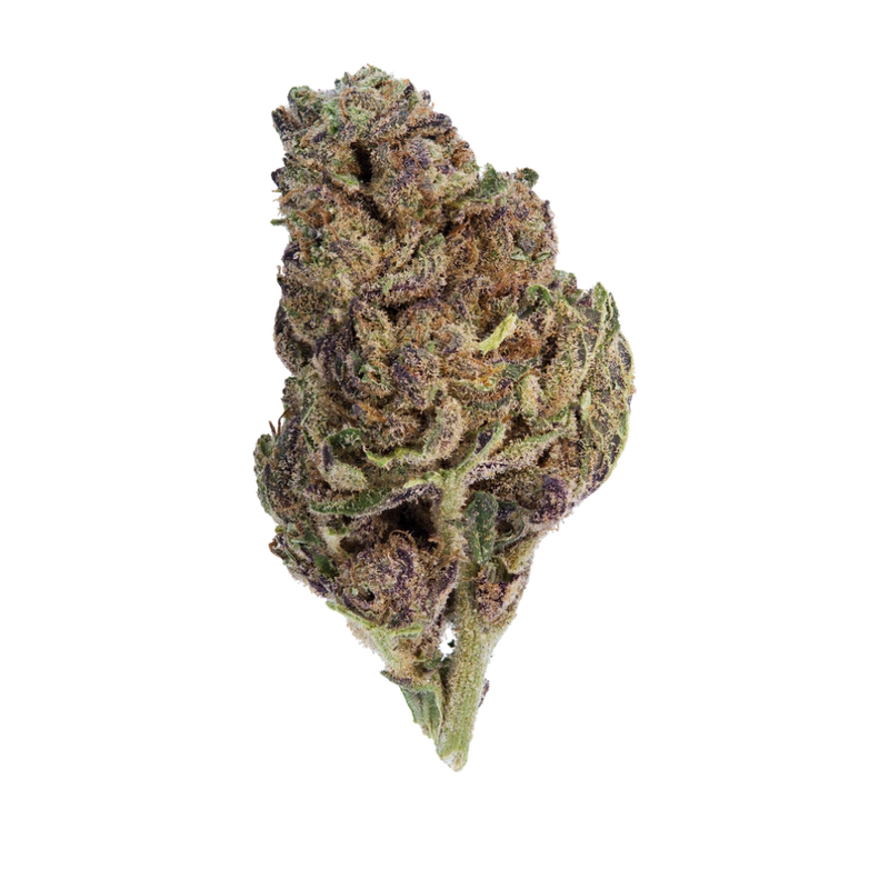 Mac DP