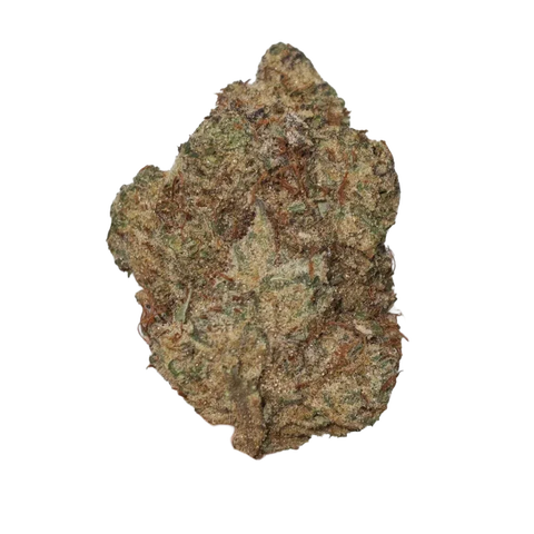 Falcon 9 Strain