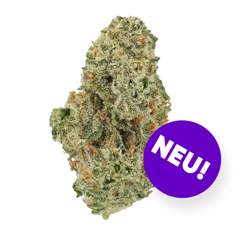 8 Ball Kush Strain