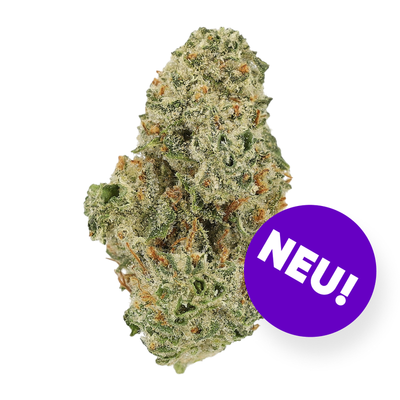 8 Ball Kush
