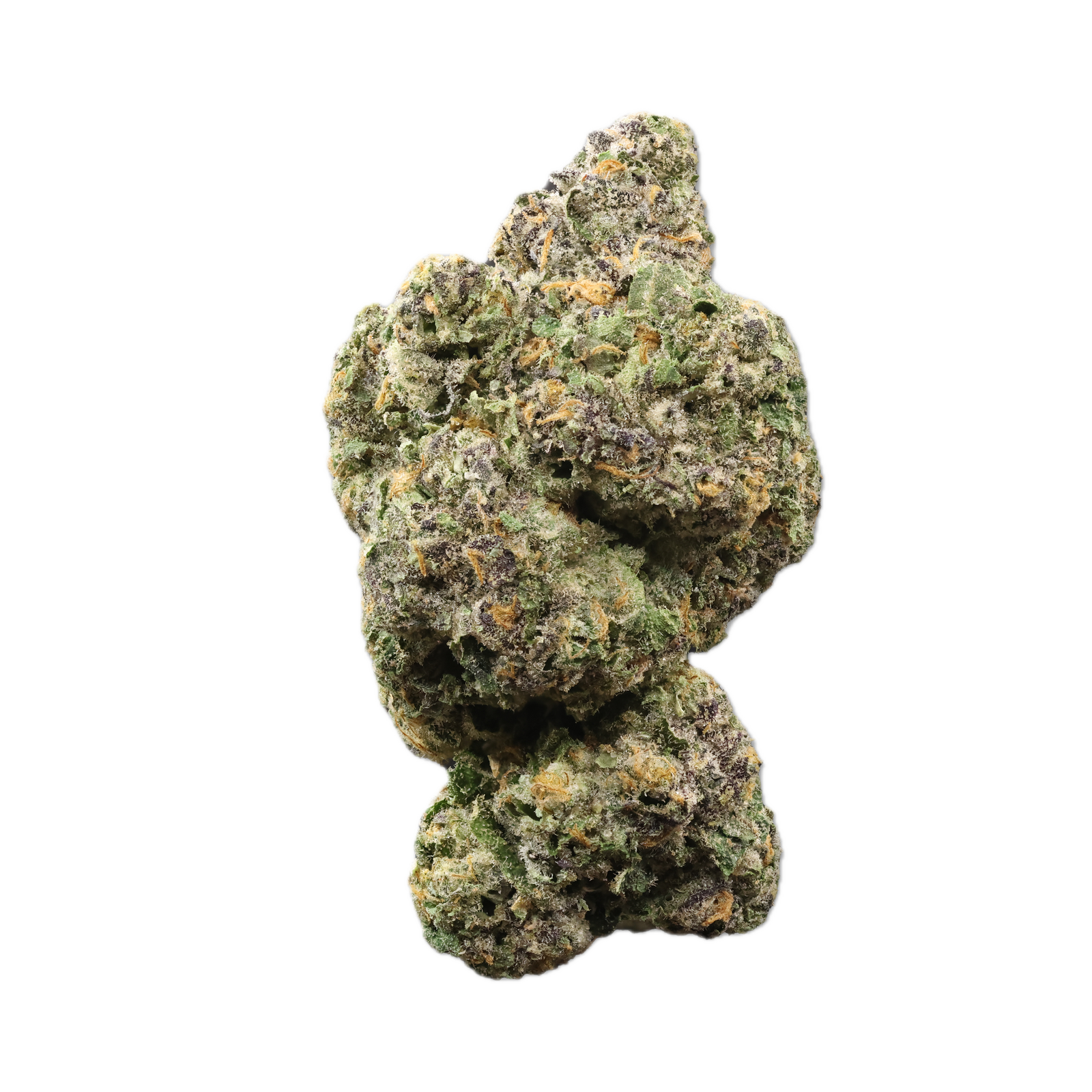 Demecan CRAFT Cali 26:01