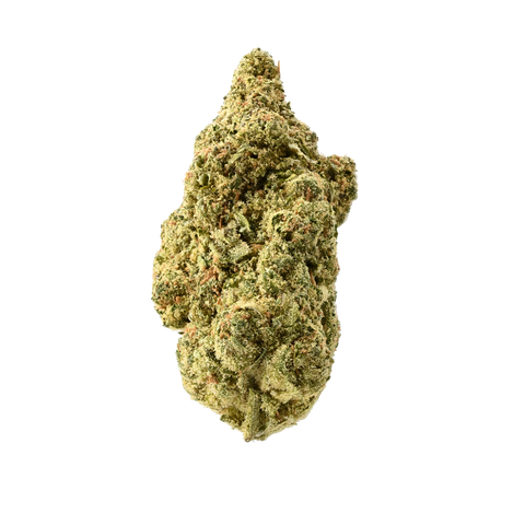 Tangie Glue Strain
