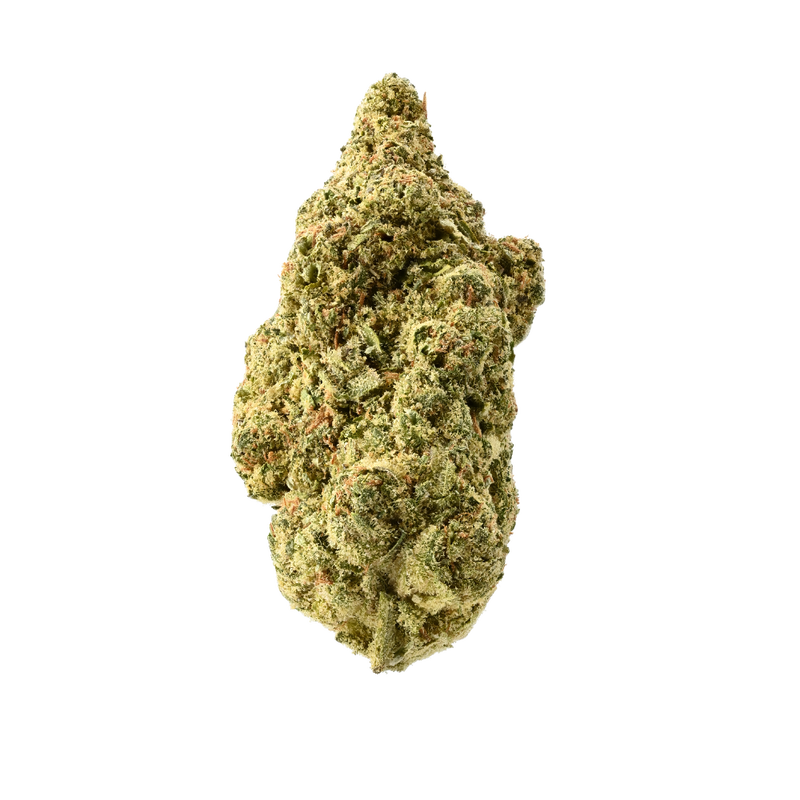 Tangie Glue