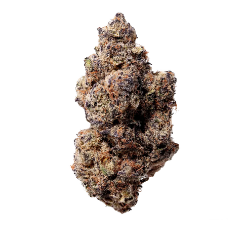 Blue Lobster Strain