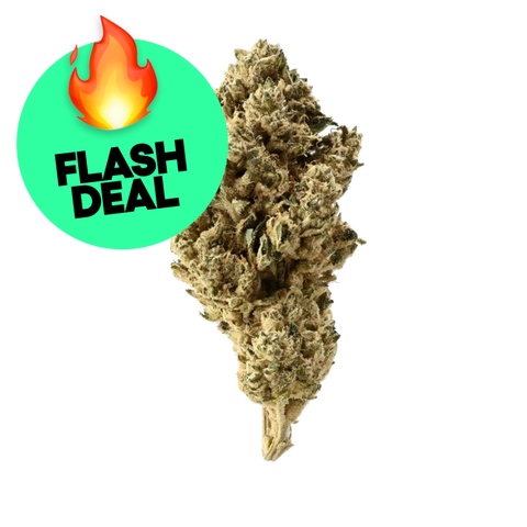 Frosted Giant Strain