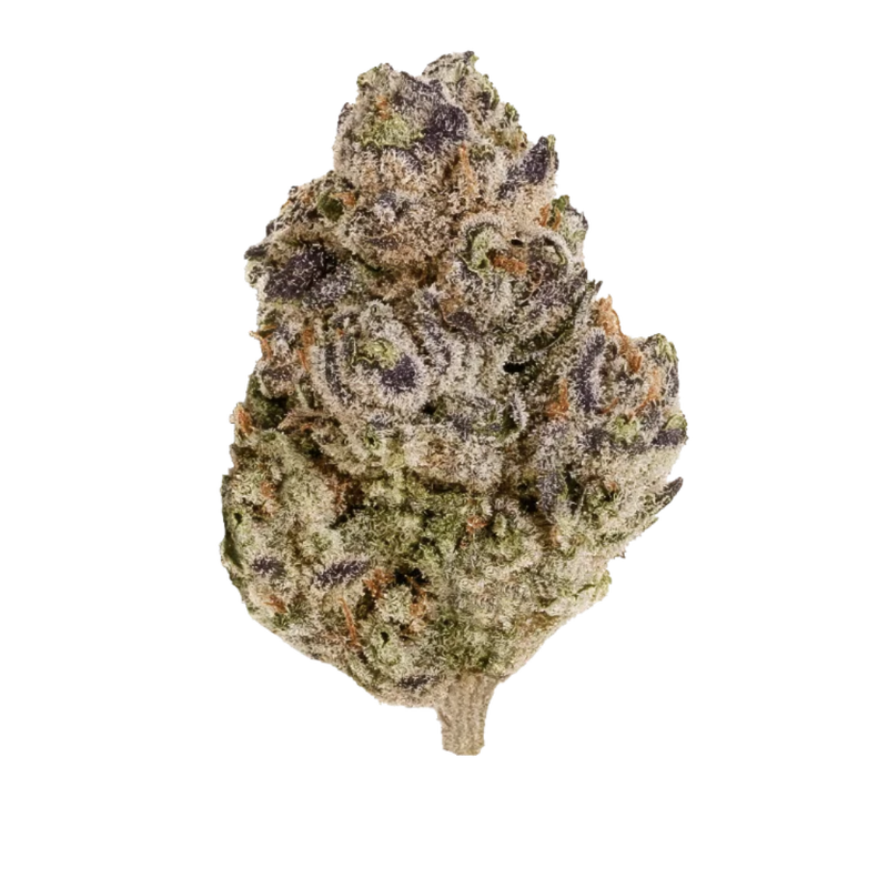 Black Berry Chai