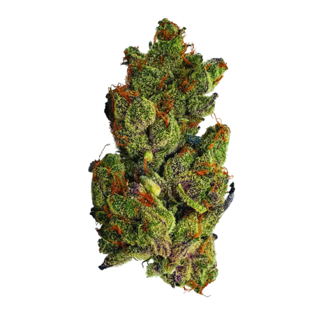 GMO Chem Mintz Strain