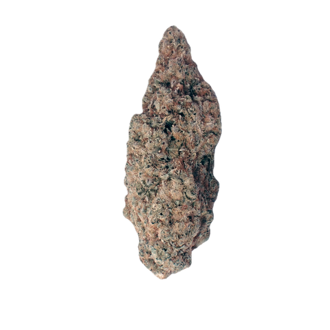 Zativa Strain