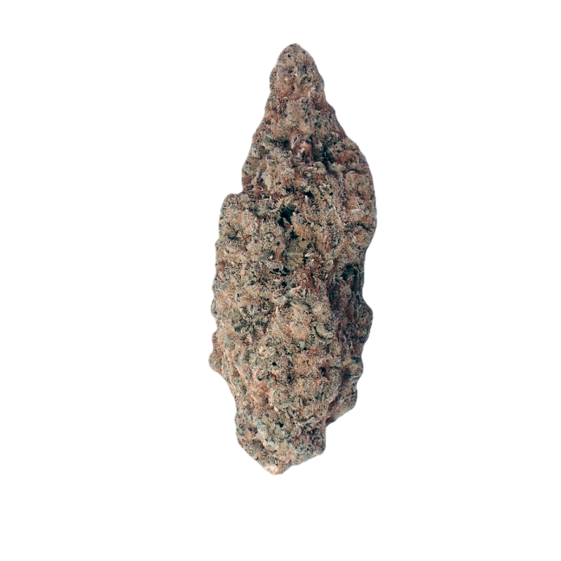 Zativa