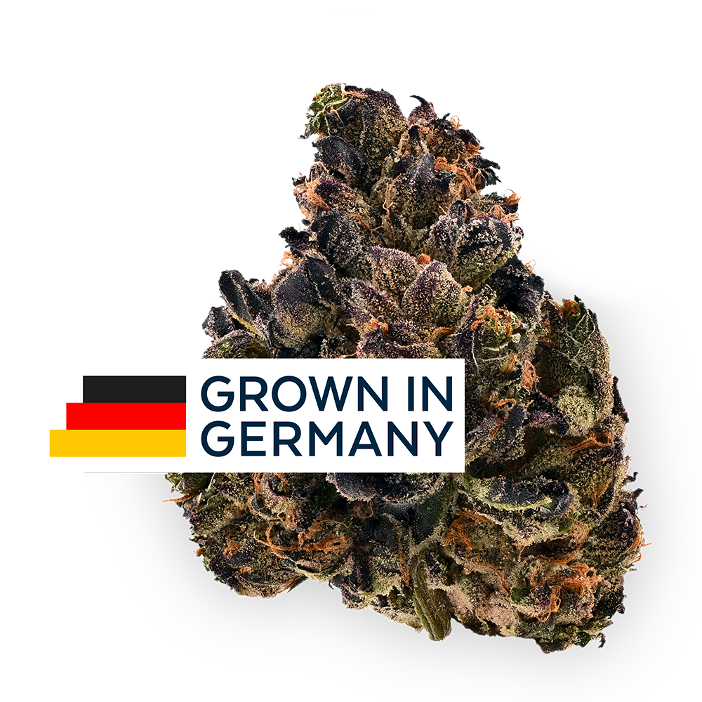 Demecan Core ICC 16:01