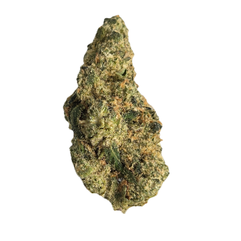 Snow Lotus Strain
