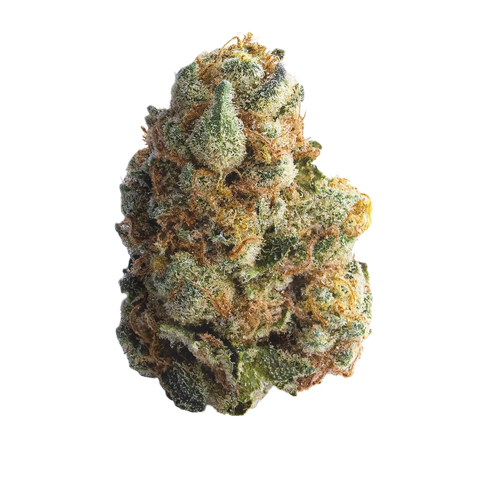 Master Kush Strain