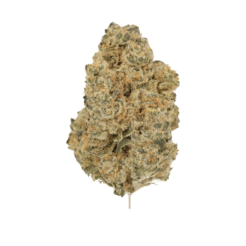 Moon Frost