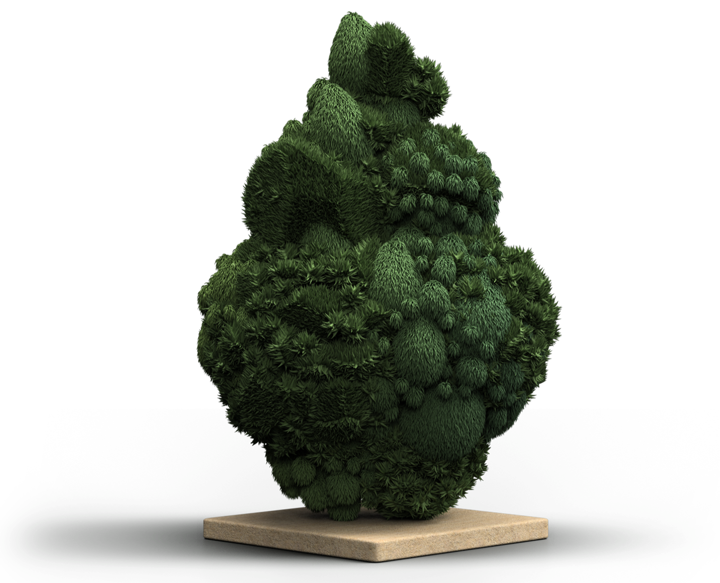 Tilray THC 18 Spotlight Porto