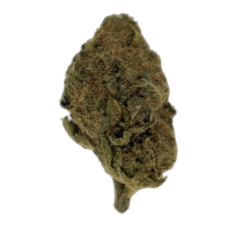 Exodus Cheese Strain