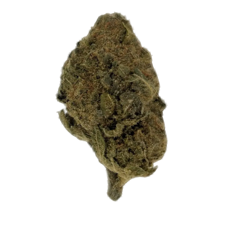 Exodus Cheese