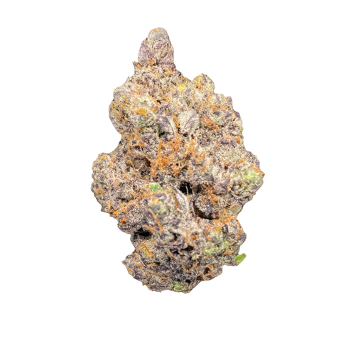 Egyptian Gold Strain