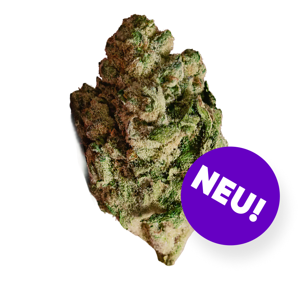 enua 25/1 PS3 CA BCP