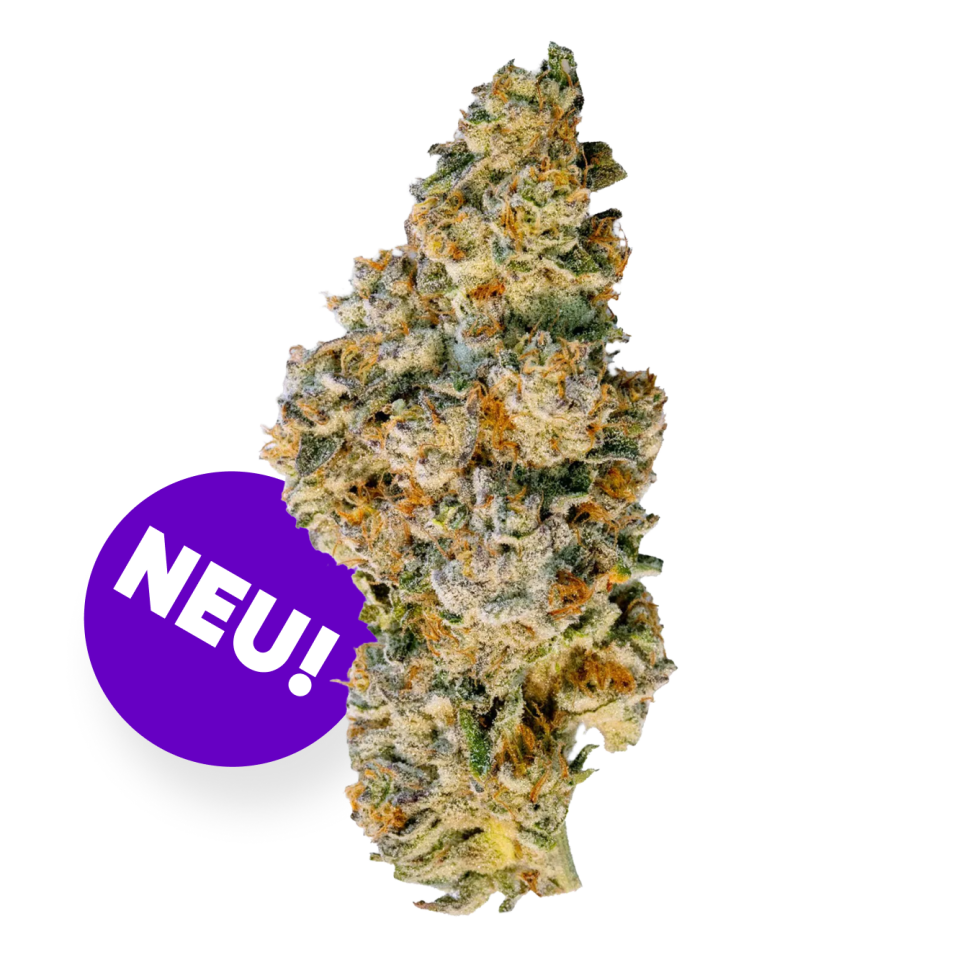 Demecan RF Epic Drop 30:01