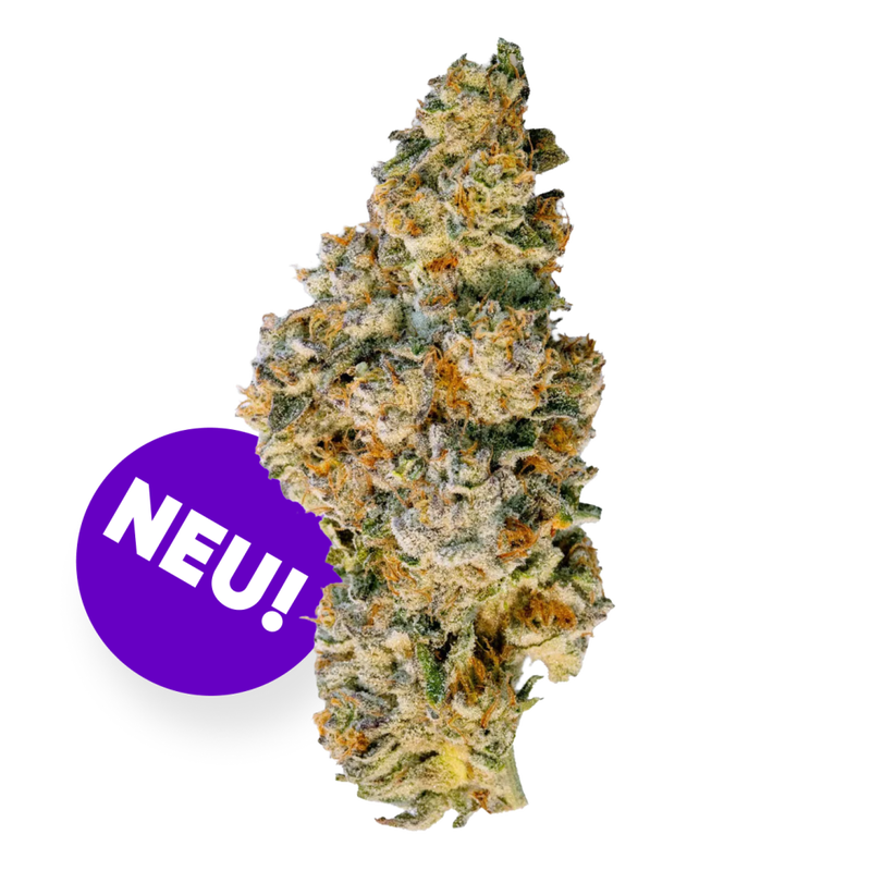 98 Aloha White Widow X Trainwreck