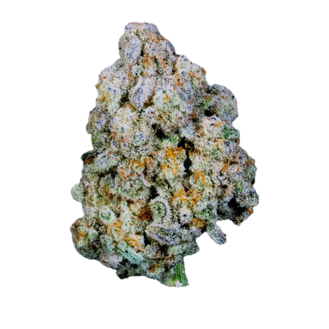 Blue Monkey Strain