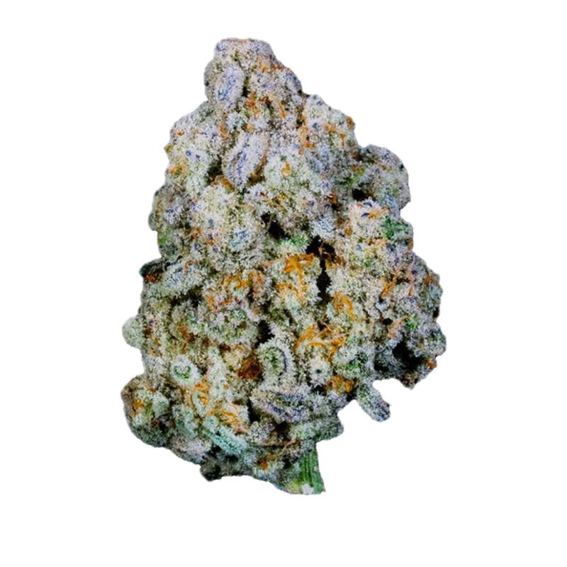 Blue Monkey