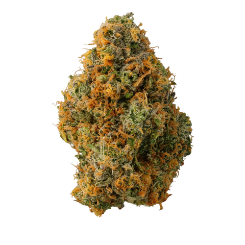 Z Strain