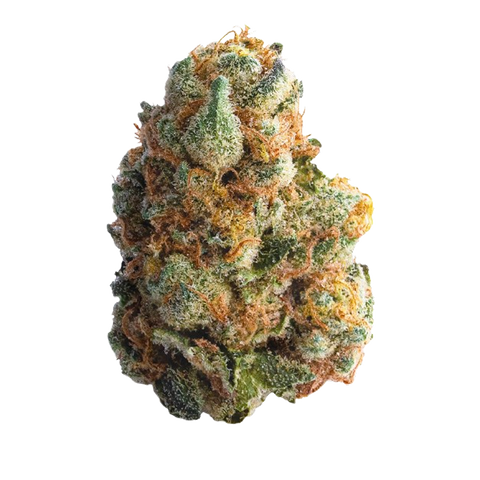 GMO Cookies Strain