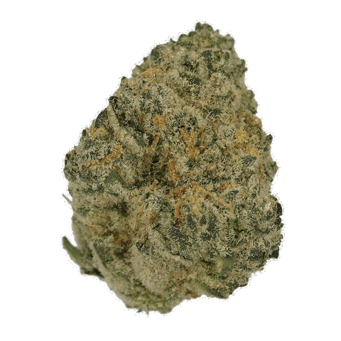 Polar Cookies Strain