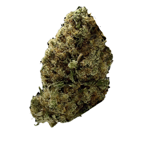 Frosty Platin Widow Strain