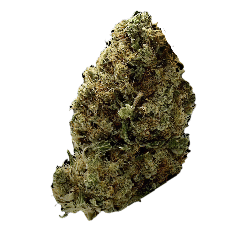 Frosty Platin Widow
