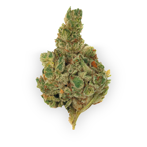 Gorilla Glue Strain