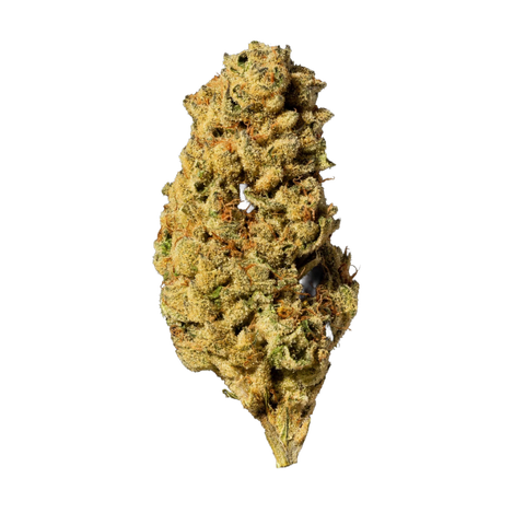 Blue Zushi Strain