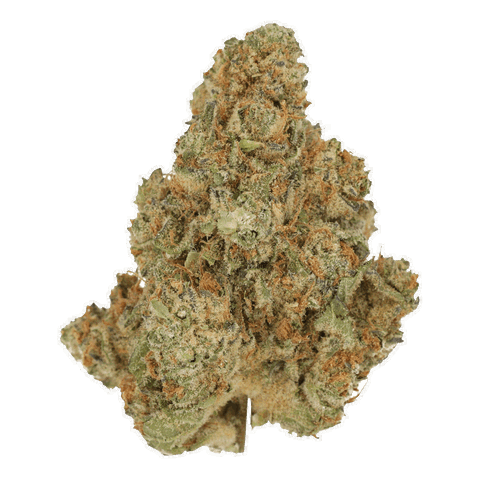 Venomz Eve Strain
