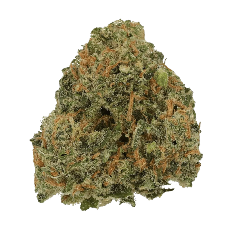 Amsterdam Amnesia