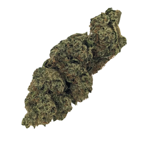Solpina Magic Strain
