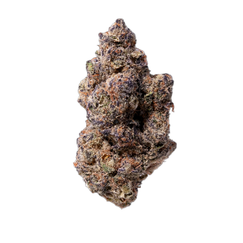 Purple Lobster Strain