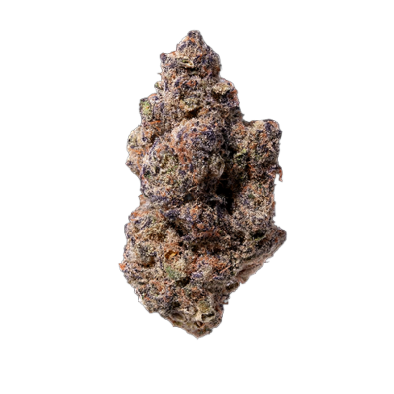 Purple Lobster