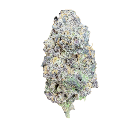 Shadow Neon Strain
