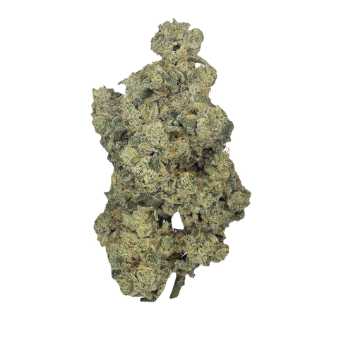 Medellin Strain
