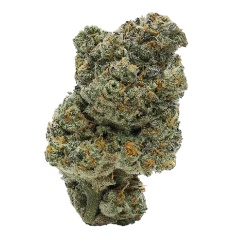 Think Fast Strain