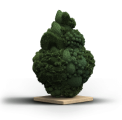 Humble Warrior Strain