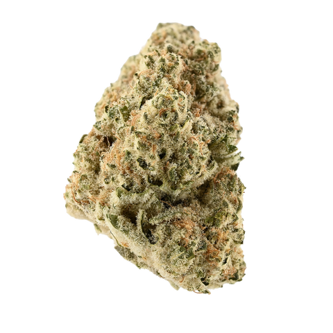 Purple Punch X Black Cherry Pie Strain