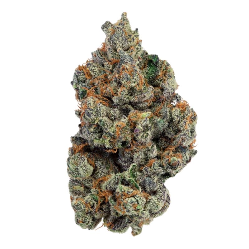 Gelatti Kush Mints