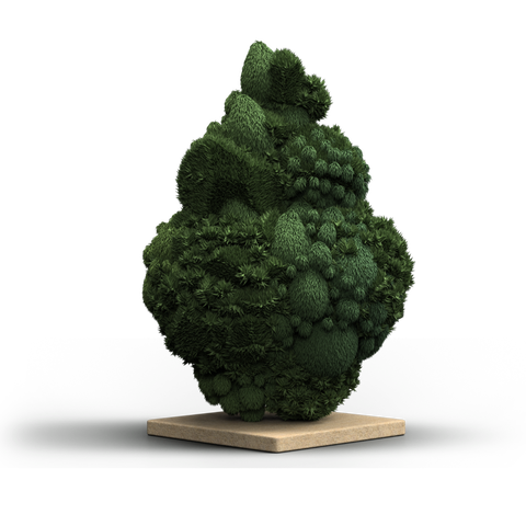 Jetlato Strain