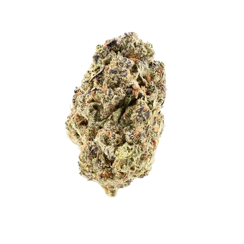 Golden Circus × Amber Haze Strain