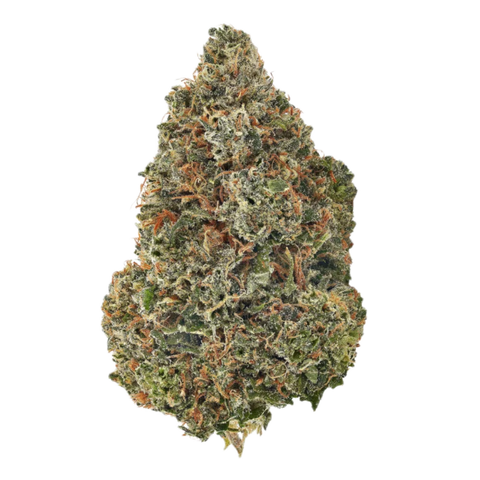 Poison Kush Strain
