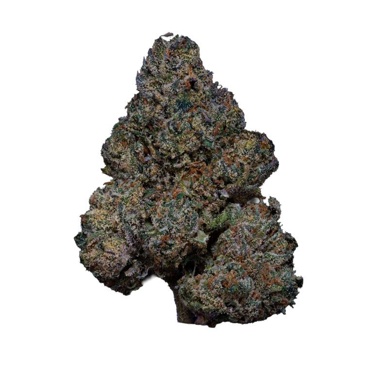 Rose Bomb